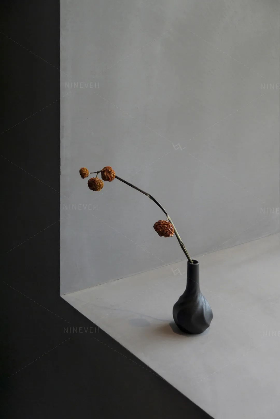 645868decf75c.jpg